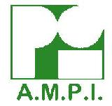 AMPI LOGO (2)