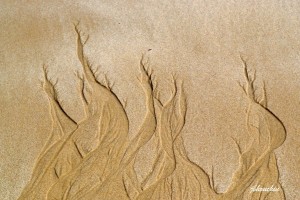 Natural Sand Background