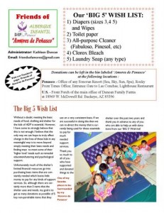 Friends of Amores newsletter Page 2